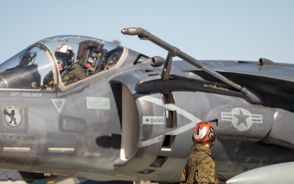 Hogs &amp; Dawg's complete joint training in Idaho