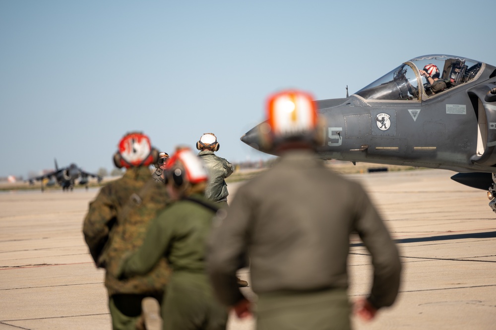 Hogs &amp; Dawg's complete joint training in Idaho