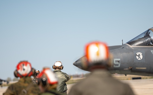 Hogs &amp; Dawg's complete joint training in Idaho