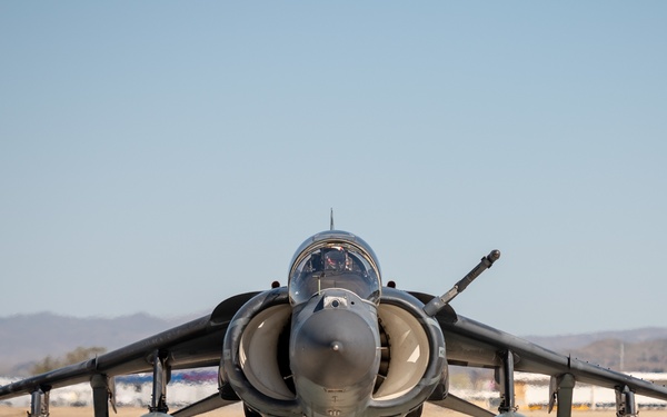 Hogs &amp; Dawg's complete joint training in Idaho