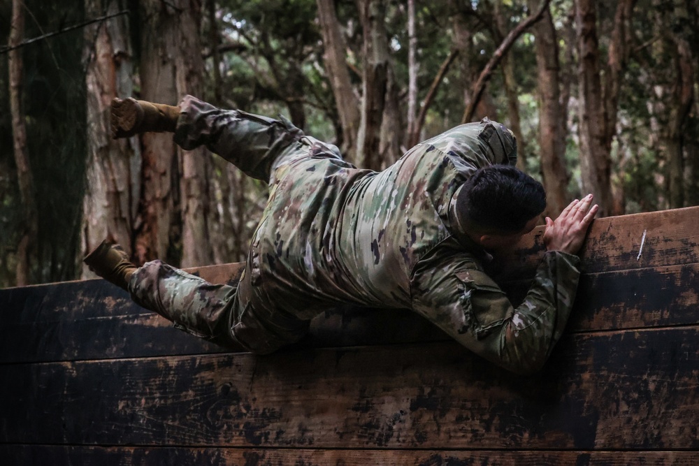 Team Building Obstacle Course HHBN, 25th Infantry Division Artillery