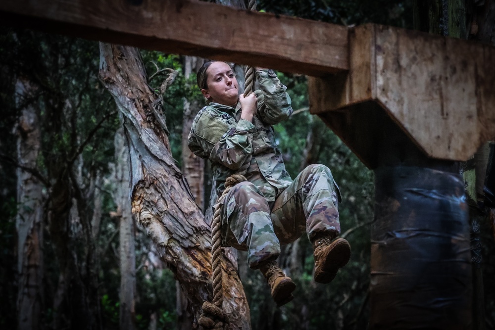 Team Building Obstacle Course HHBN, 25th Infantry Division Artillery