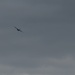 424th ABS Air Field Management