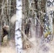 deer hiding in the woodline