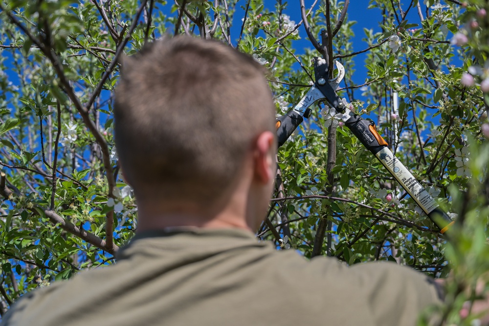Illinois National Guard Service Member Volunteer Gardening Service in East St. Louis