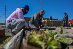 Illinois National Guard Service Member Volunteer Gardening Service in East St. Louis