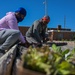 Illinois National Guard Service Member Volunteer Gardening Service in East St. Louis