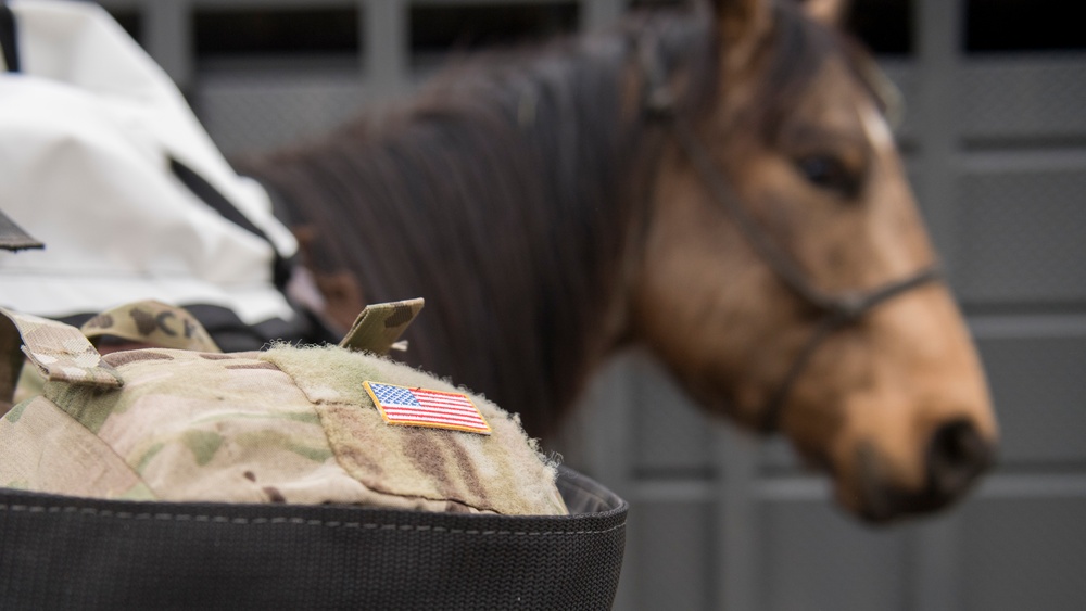 124th Air Support Operations Squadron Trains with 124th Security Forces