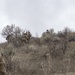 124th Air Support Operations Squadron Trains with 124th Security Forces