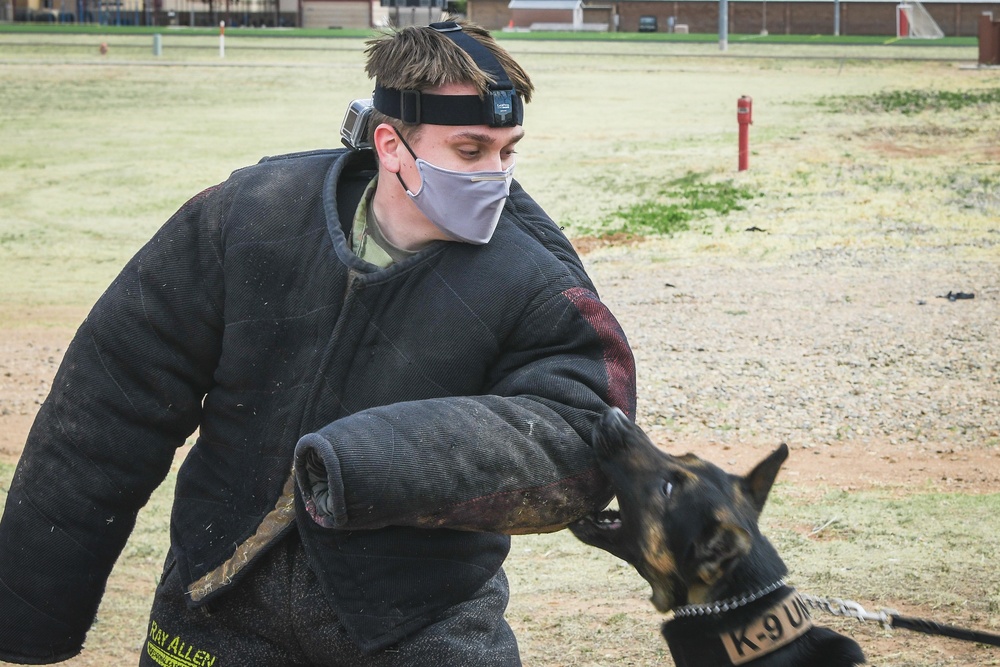 Ruff Security