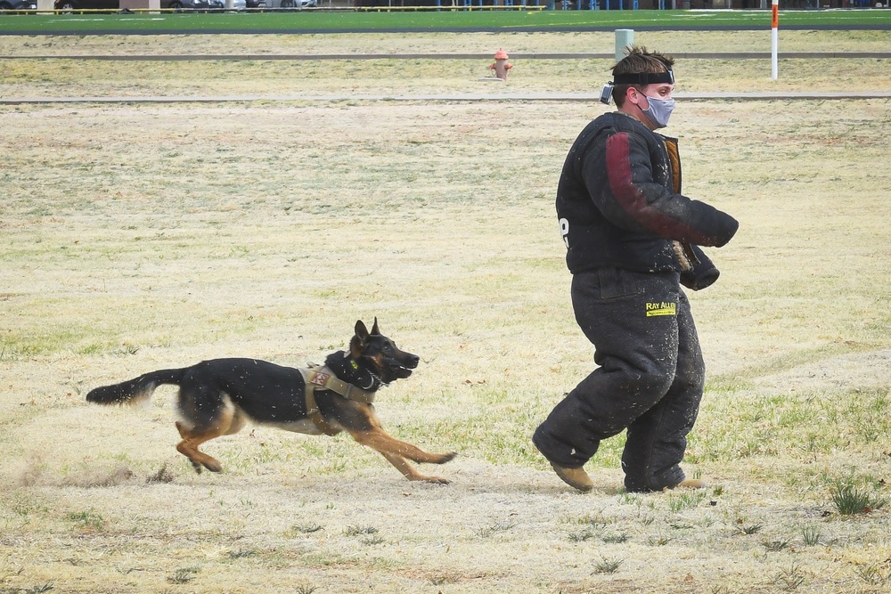 Ruff Security