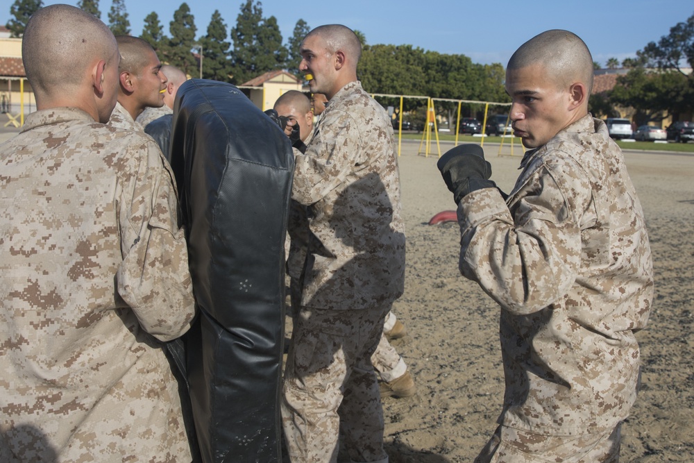 Hotel Company Combat Conditioning Course