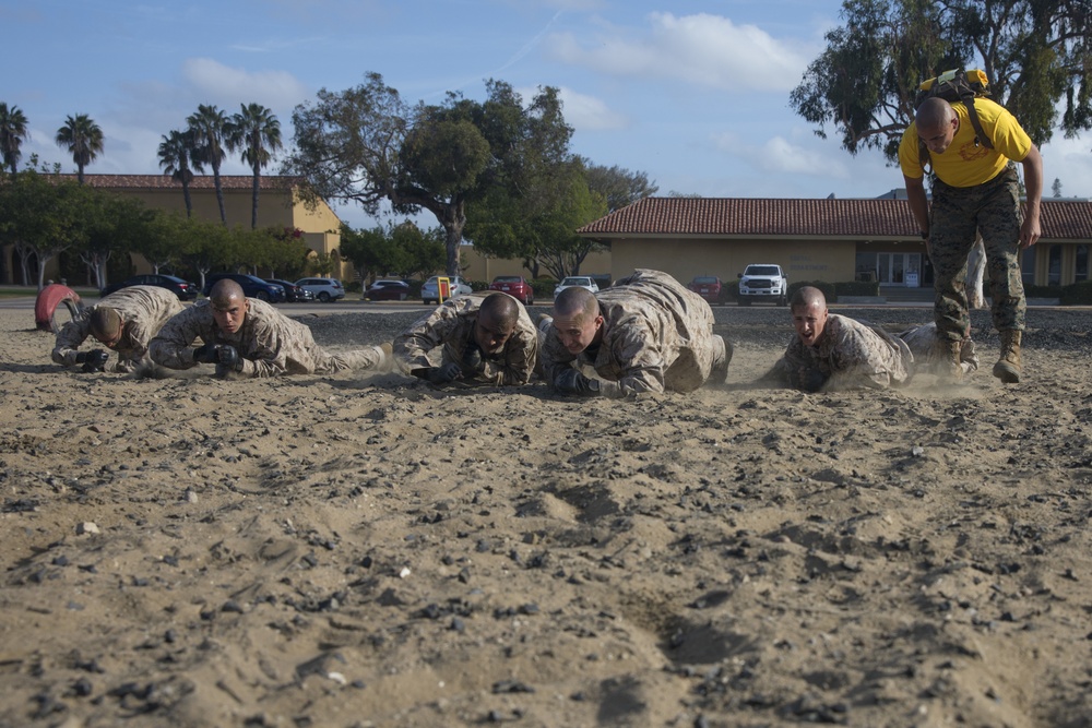 Hotel Company Combat Conditioning Course