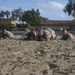 Hotel Company Combat Conditioning Course