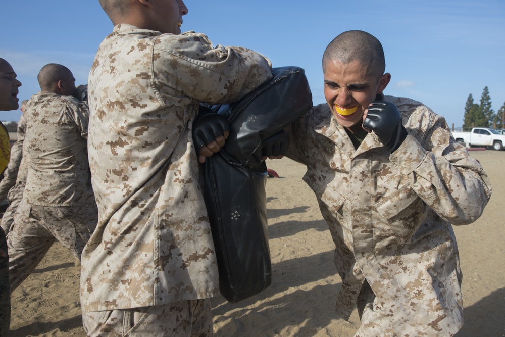 Hotel Company Combat Conditioning Course