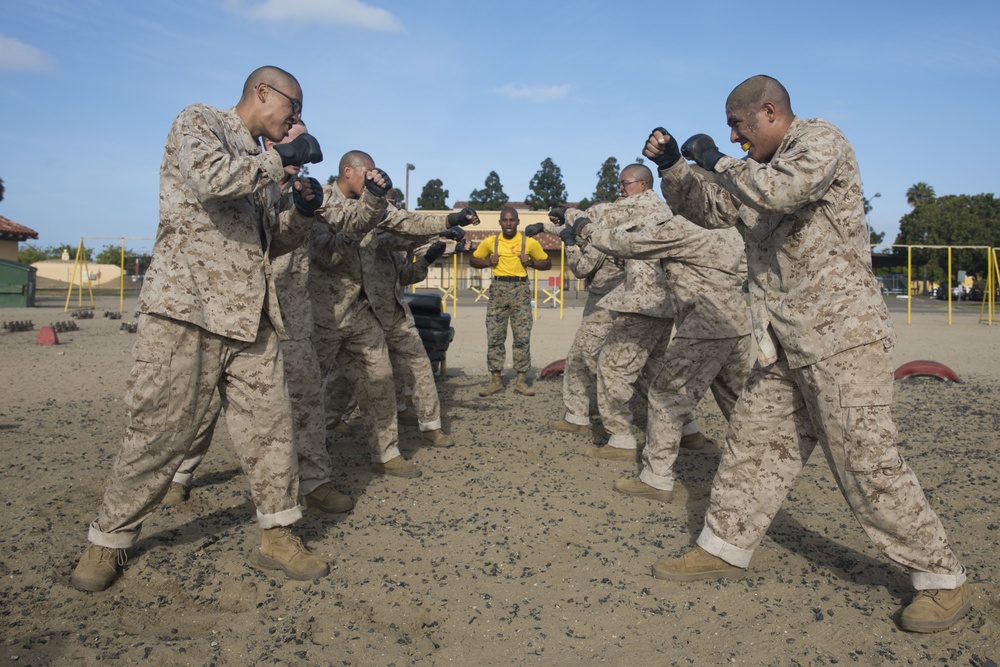 Hotel Company Combat Conditioning Course