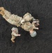 Air Assault class hits the rappel tower