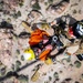 Longhorns of NAS Fallon SAR Conduct SAREX