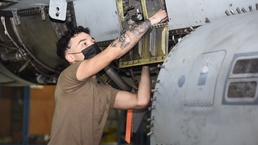 The 52nd MXS Maintenance Flight Wins Again!