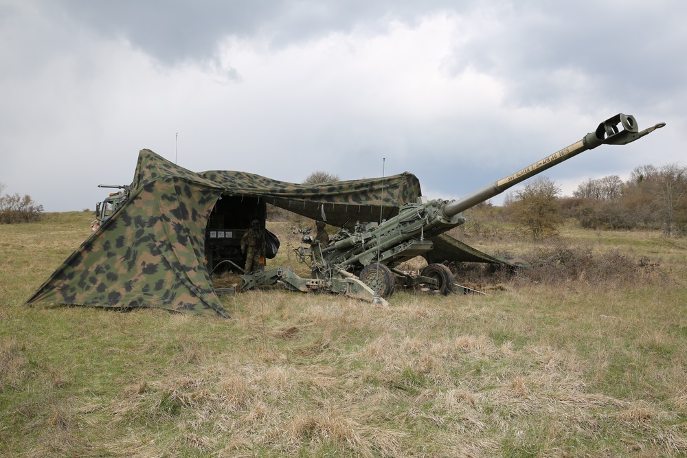 A Camouflaged Howitzer