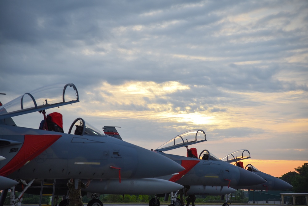 Fighter jets from across the nation park on flight line during Sentry Savannah 2021