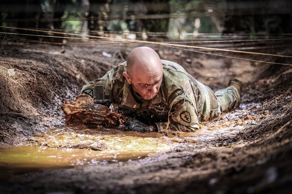 25th DIVARTY Senior NCO LPD “Thunder Stripes” for SAAPM