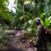 36th SFS Conducts Jungle Patrol