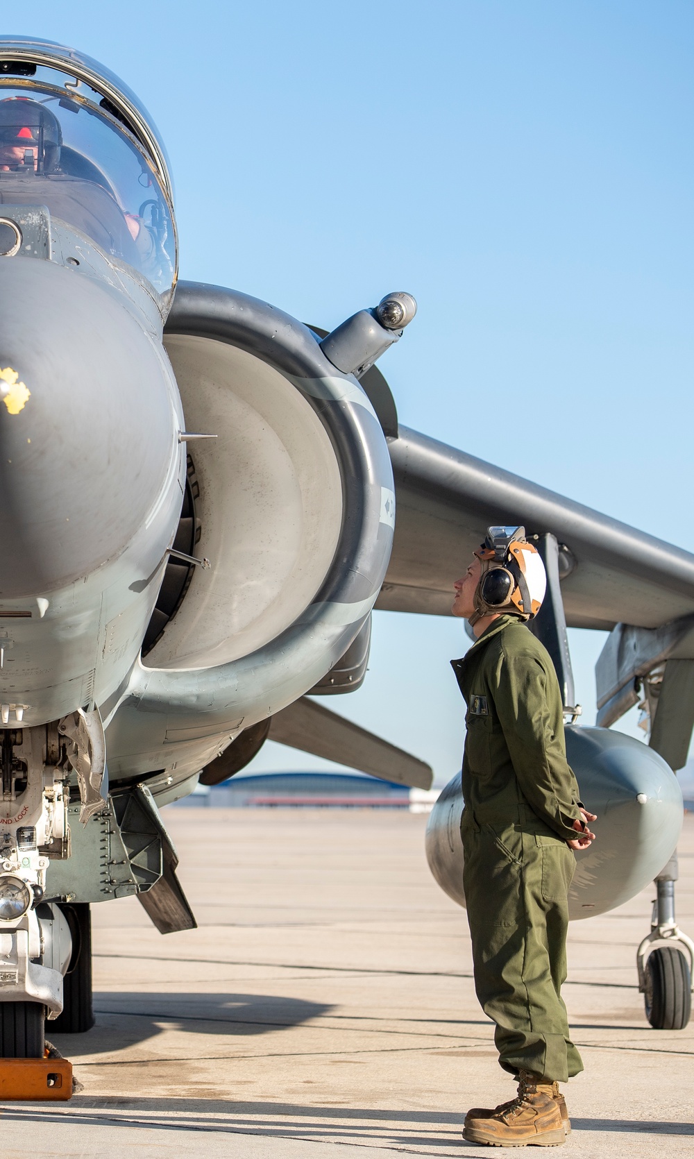 Marine Bulldogs Prepare to Fly
