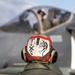 Marine Bulldogs Prepare to Fly
