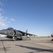 Marine Bulldogs Prepare to Fly