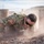 A U.S. Army soldier in OCP (Operational Camouflage Pattern) uniform is crawling under a barbed wire obstacle on a dusty training course. The soldier, identified by a name tape reading 'SMITH,' is wearing sunglasses and has an American flag patch on the right shoulder. Dust clouds surround the soldier, indicating vigorous movement through the gravel and dirt terrain.