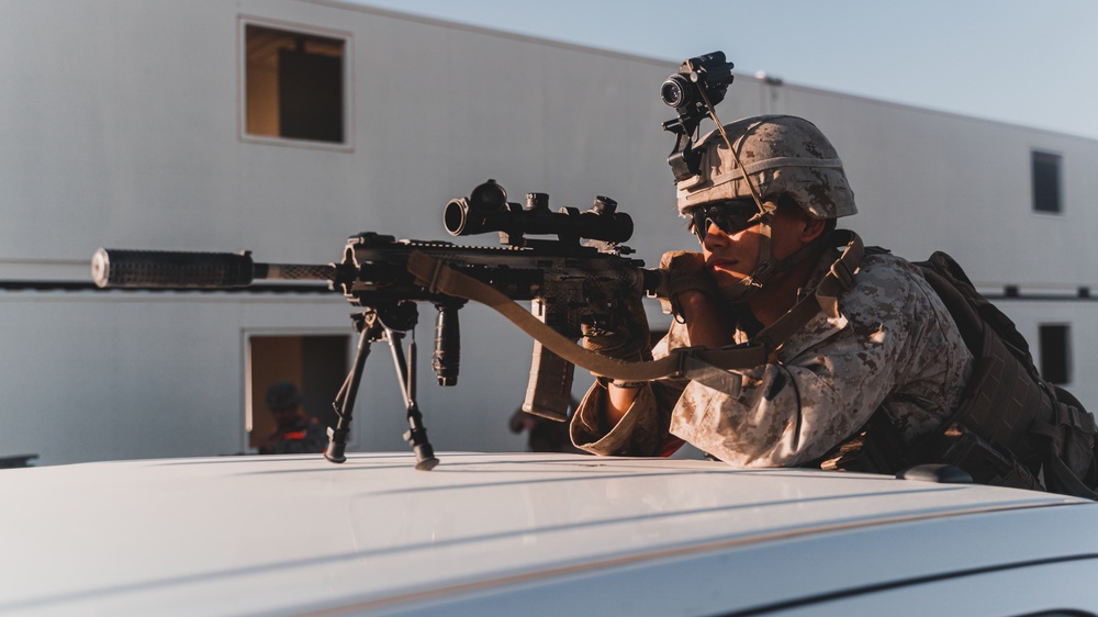 U.S. Marines Conduct a Non-combatant Evacuation Operation Exercise