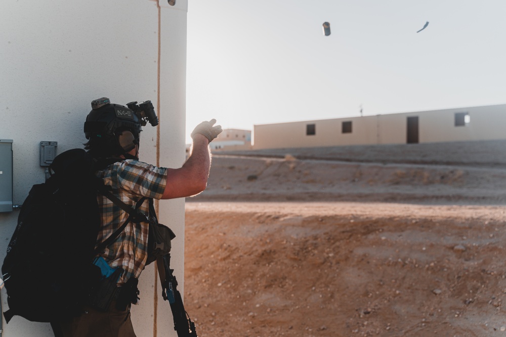 U.S. Marines Conduct a Non-combatant Evacuation Operation Exercise