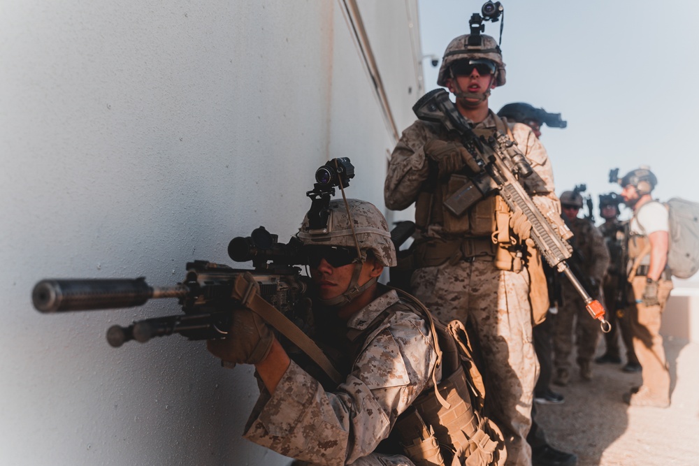 U.S. Marines Conduct a Non-combatant Evacuation Operation Exercise