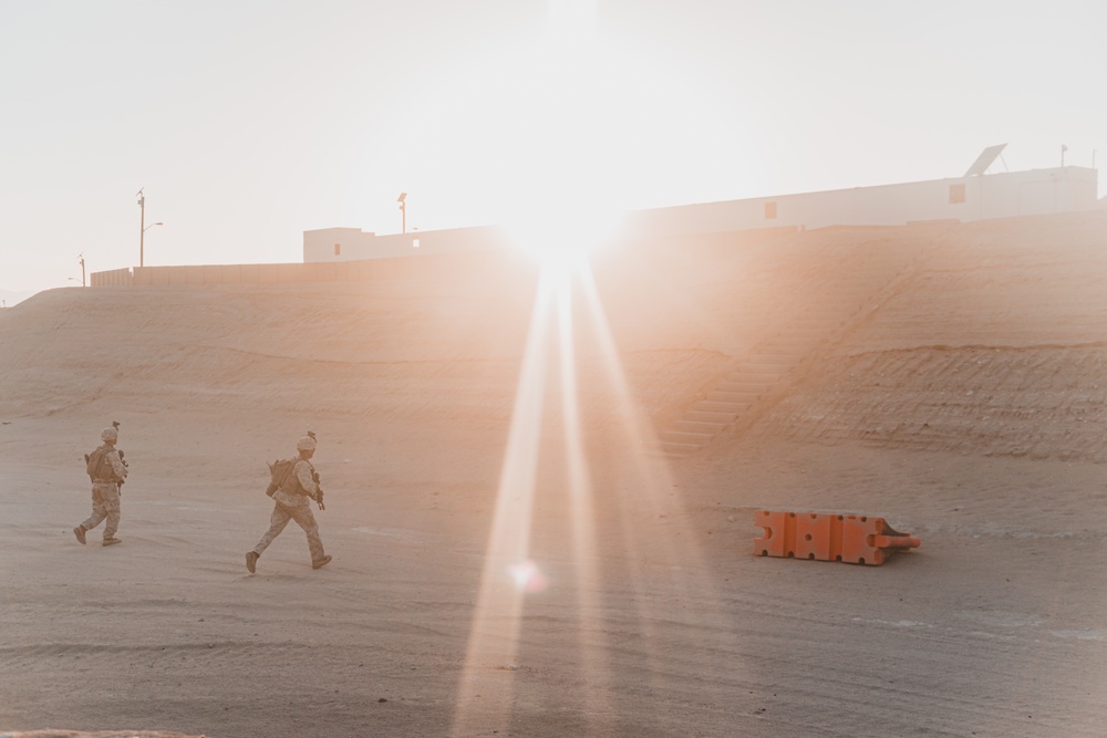 U.S. Marines Conduct a Non-combatant Evacuation Operation Exercise