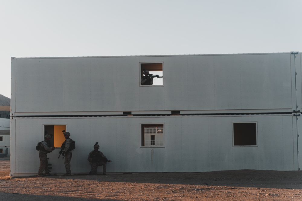 U.S. Marines Conduct a Non-combatant Evacuation Operation Exercise