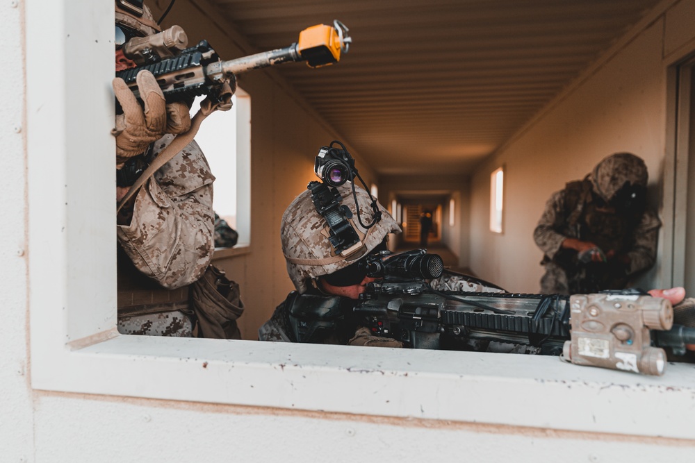 U.S. Marines Conduct a Non-combatant Evacuation Operation Exercise