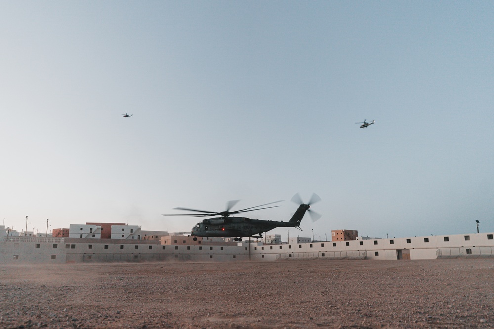 U.S. Marines Conduct a Non-combatant Evacuation Operation Exercise