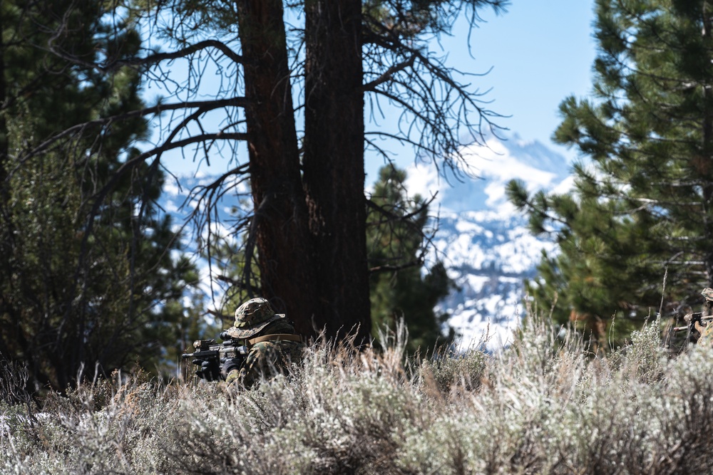Marines train for ambushes at the Mountain Warfare Training Center