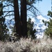 Marines train for ambushes at the Mountain Warfare Training Center