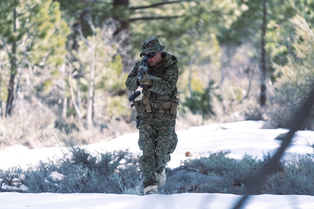Marines train for ambushes at the Mountain Warfare Training Center