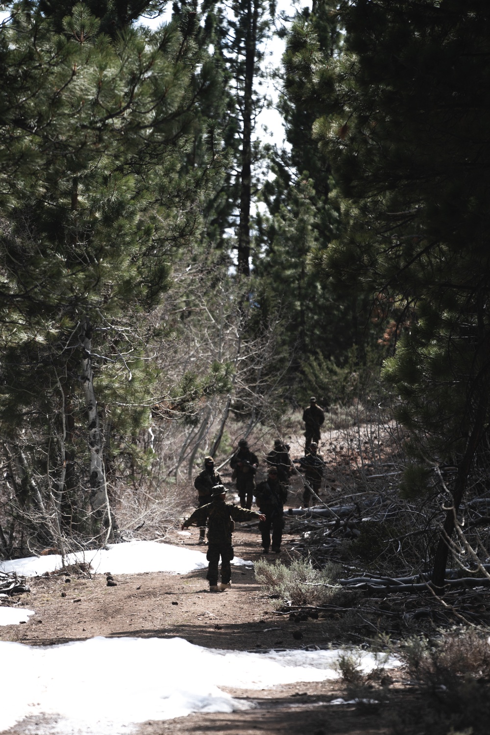 Marines train for ambushes at the Mountain Warfare Training Center