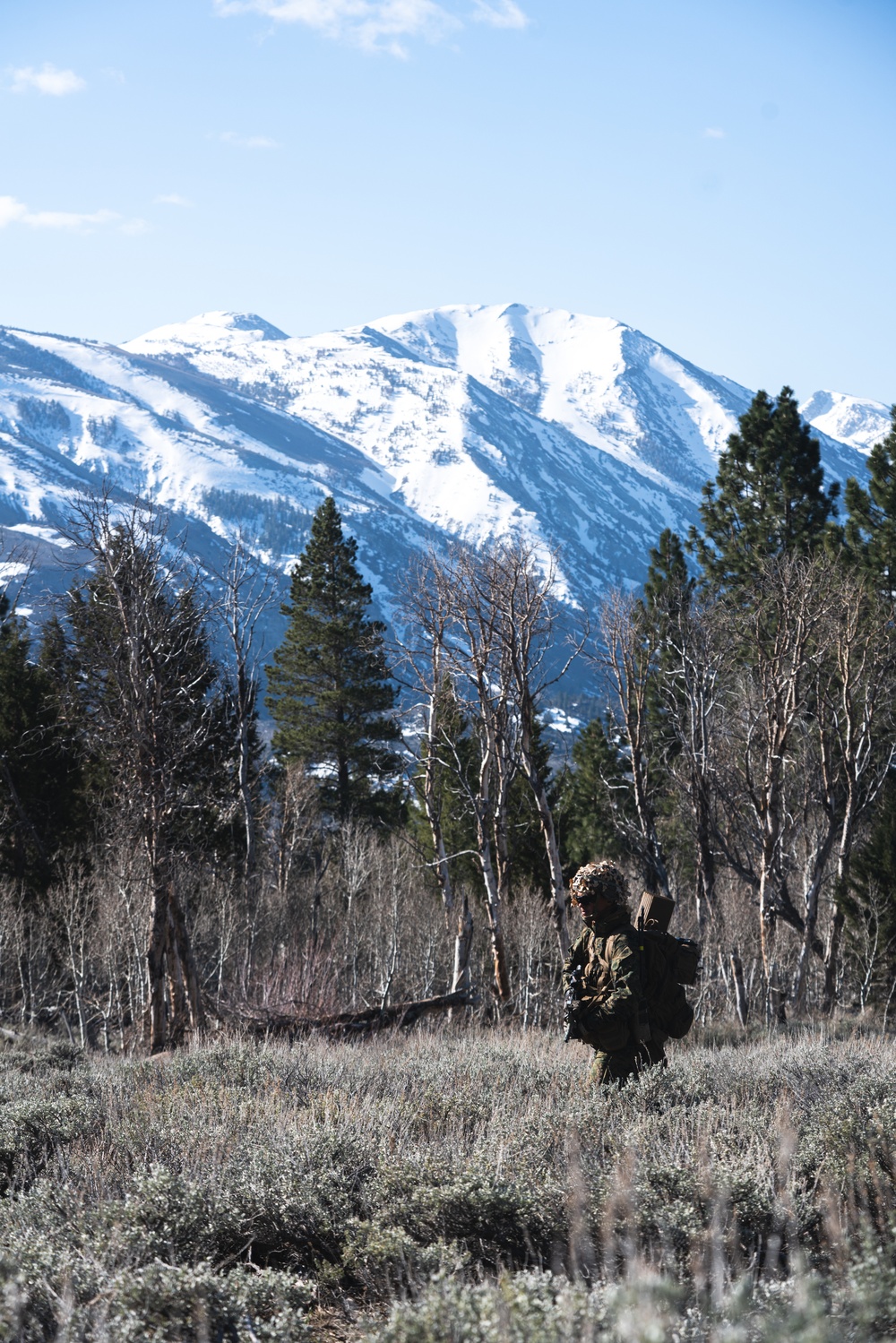 Marines train for ambushes at the Mountain Warfare Training Center