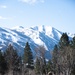 Marines train for ambushes at the Mountain Warfare Training Center