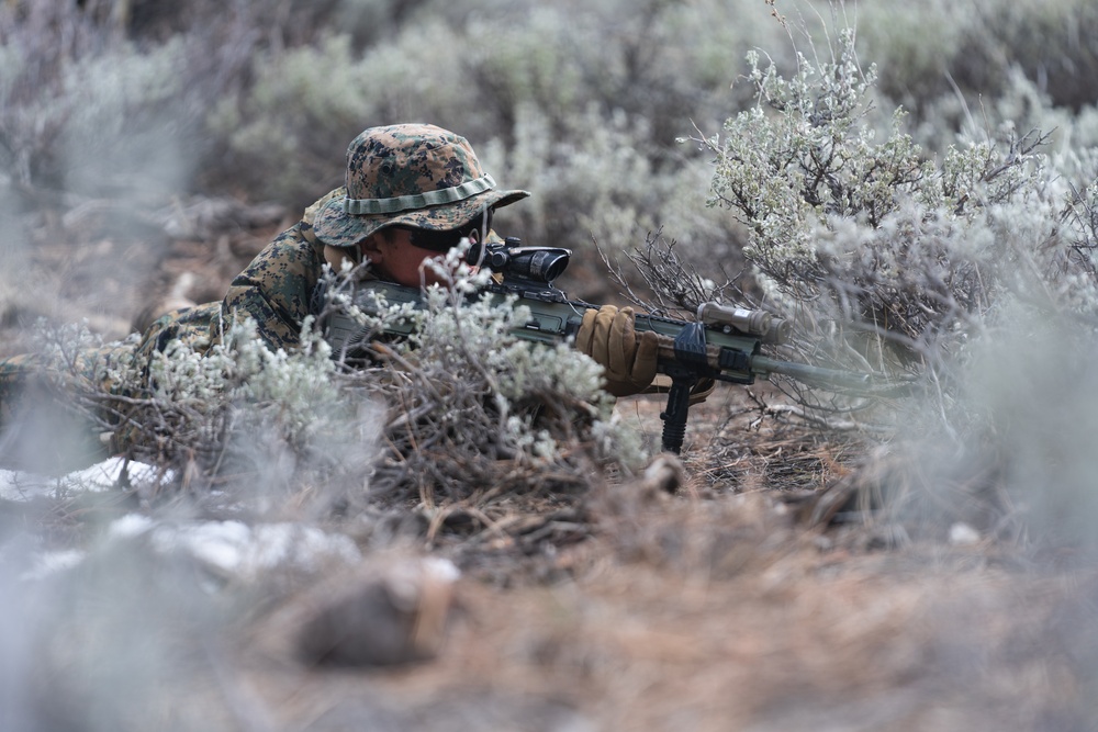 Marines train for ambushes at the Mountain Warfare Training Center