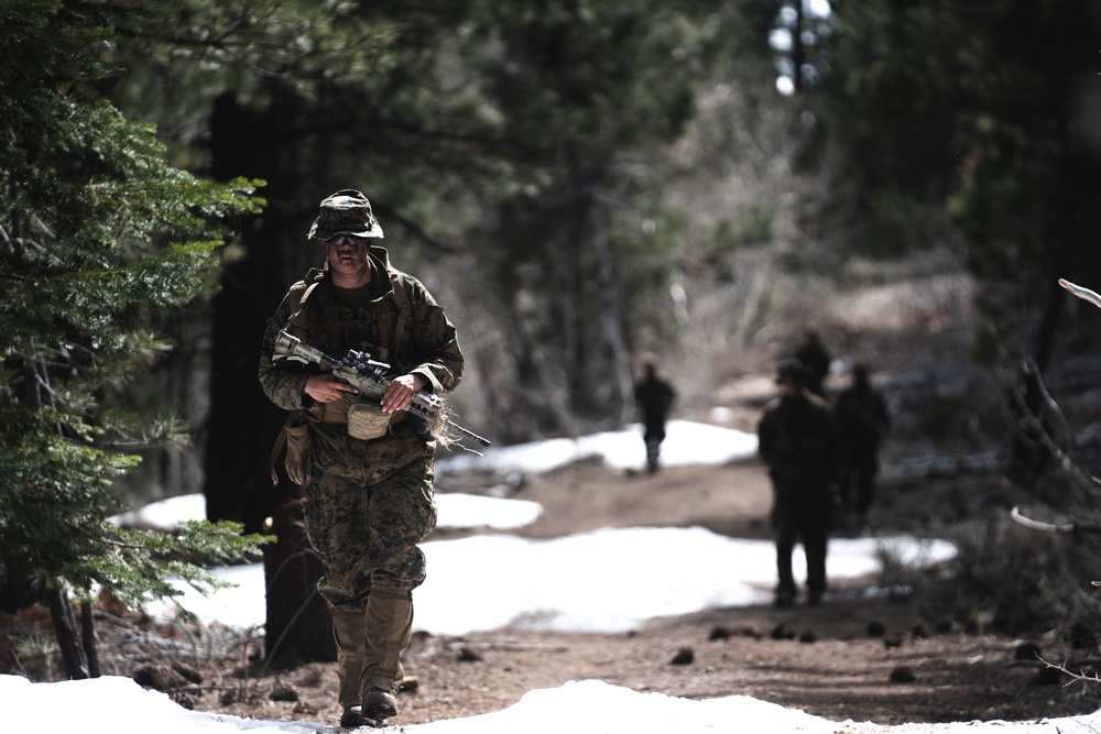 Marines train for ambushes at the Mountain Warfare Training Center