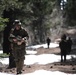 Marines train for ambushes at the Mountain Warfare Training Center