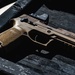 Firearm Ready