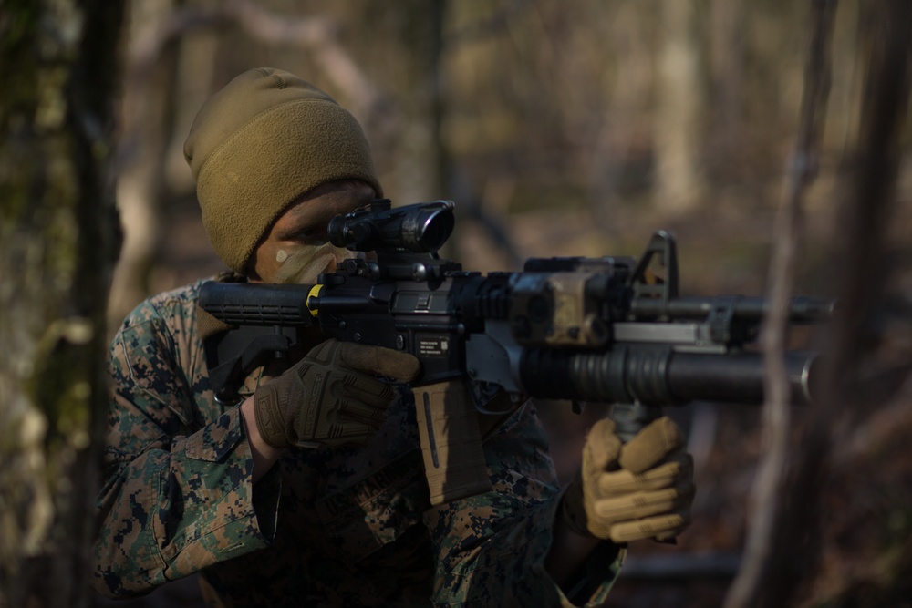 U.S. Marines from 3/3 Conduct Fuji Viper 21.3