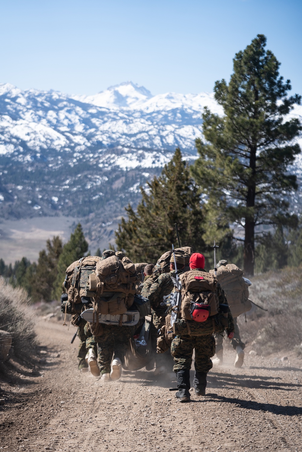 Marines and Sailors evacuate simulated casualties during MTX
